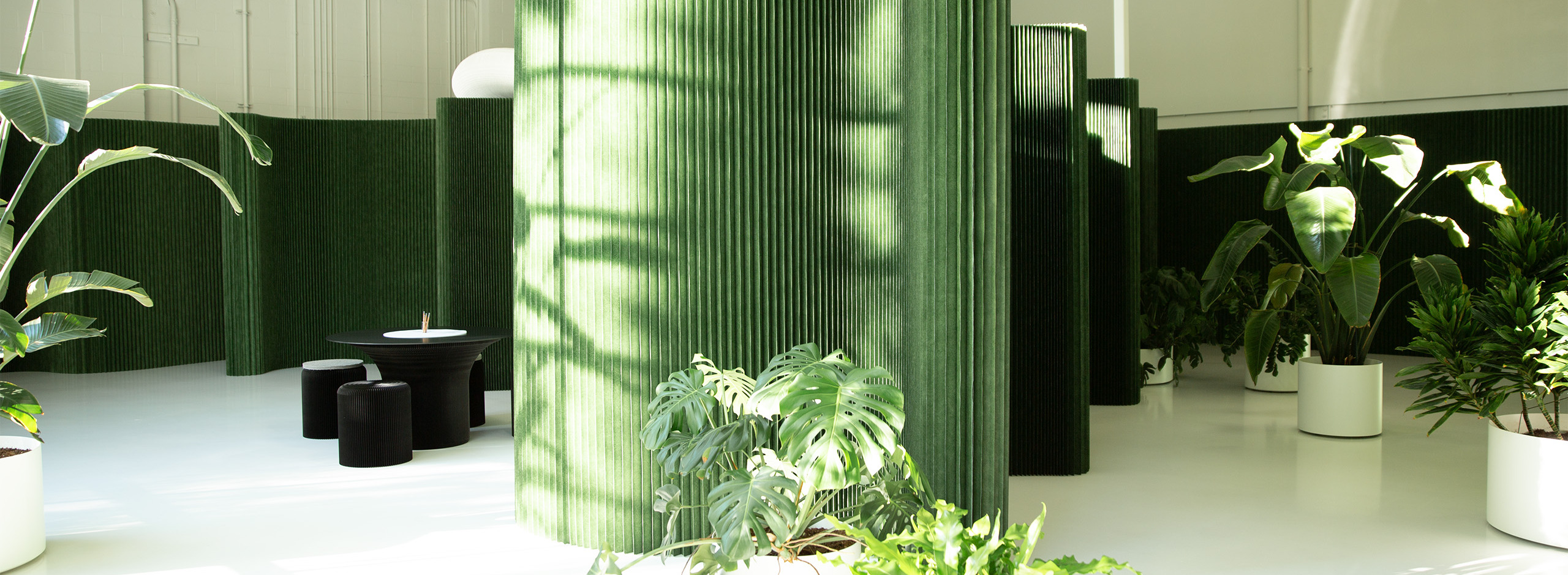 green softwall,acoustic office wall,designing with plants,Pantone 17-0230,molo