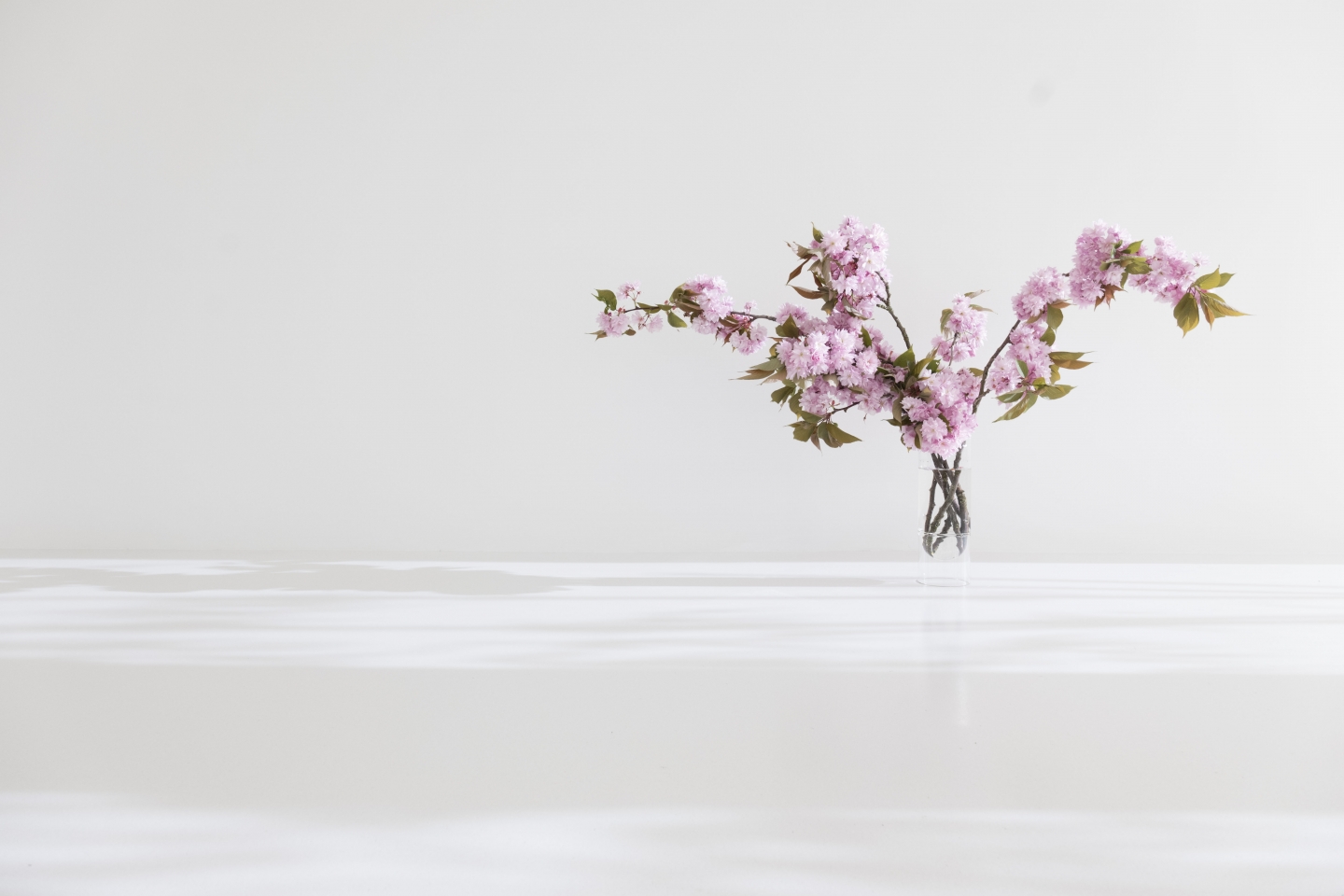 float vase with blossoms