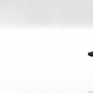 man sitting on a felt pad