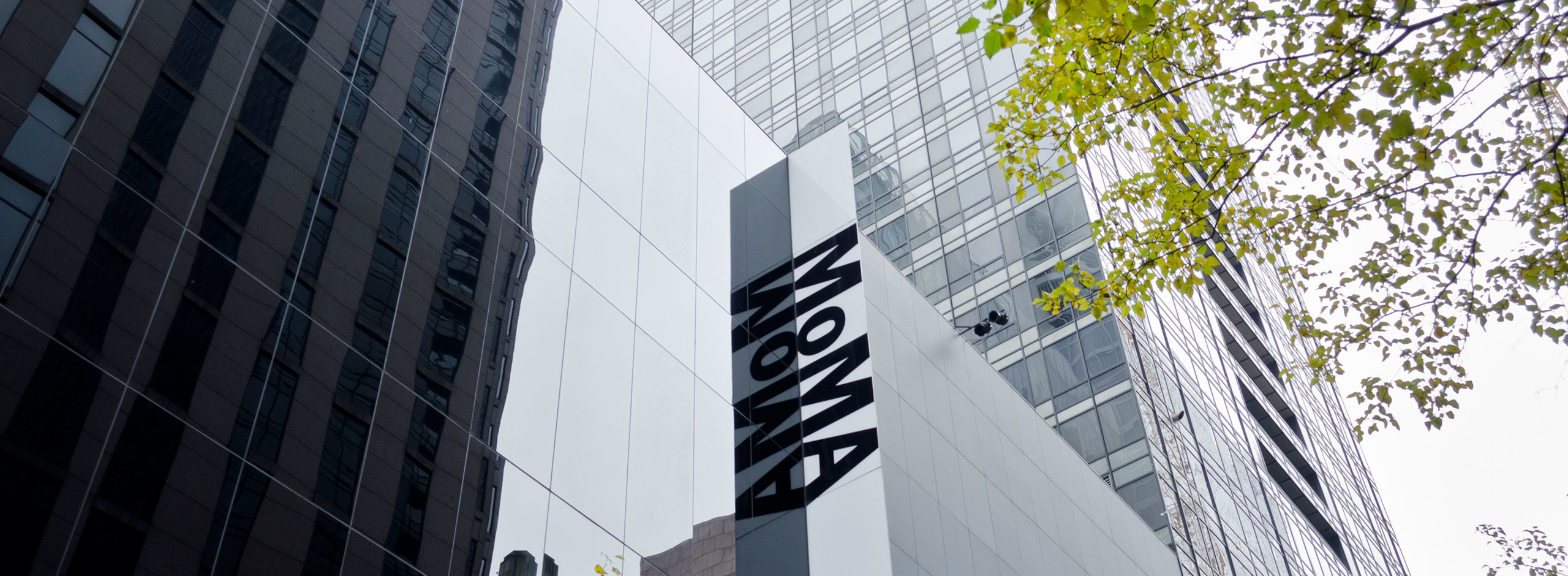 molo included in MoMa archives