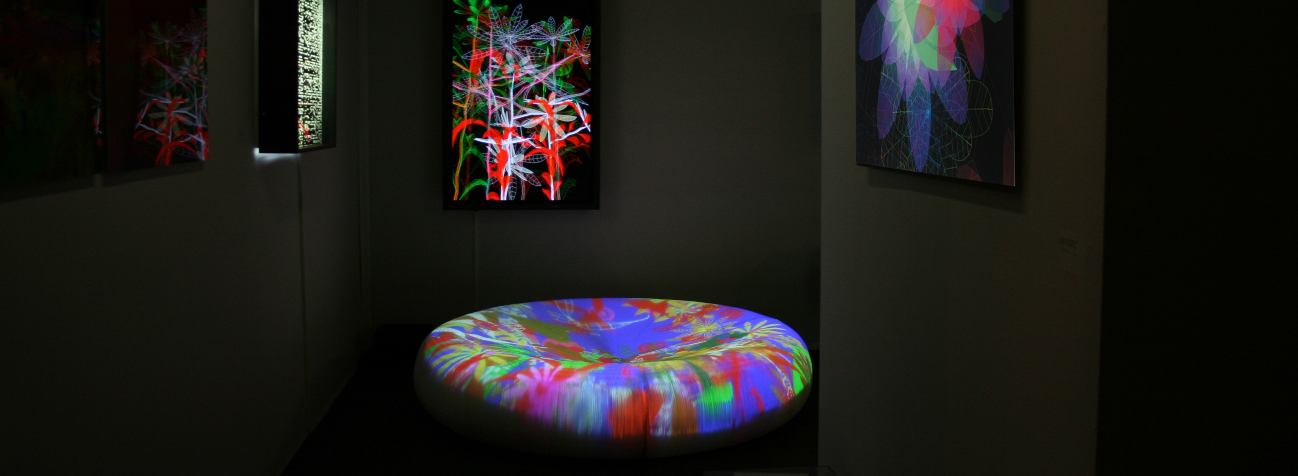 museum display fixtures for galleries