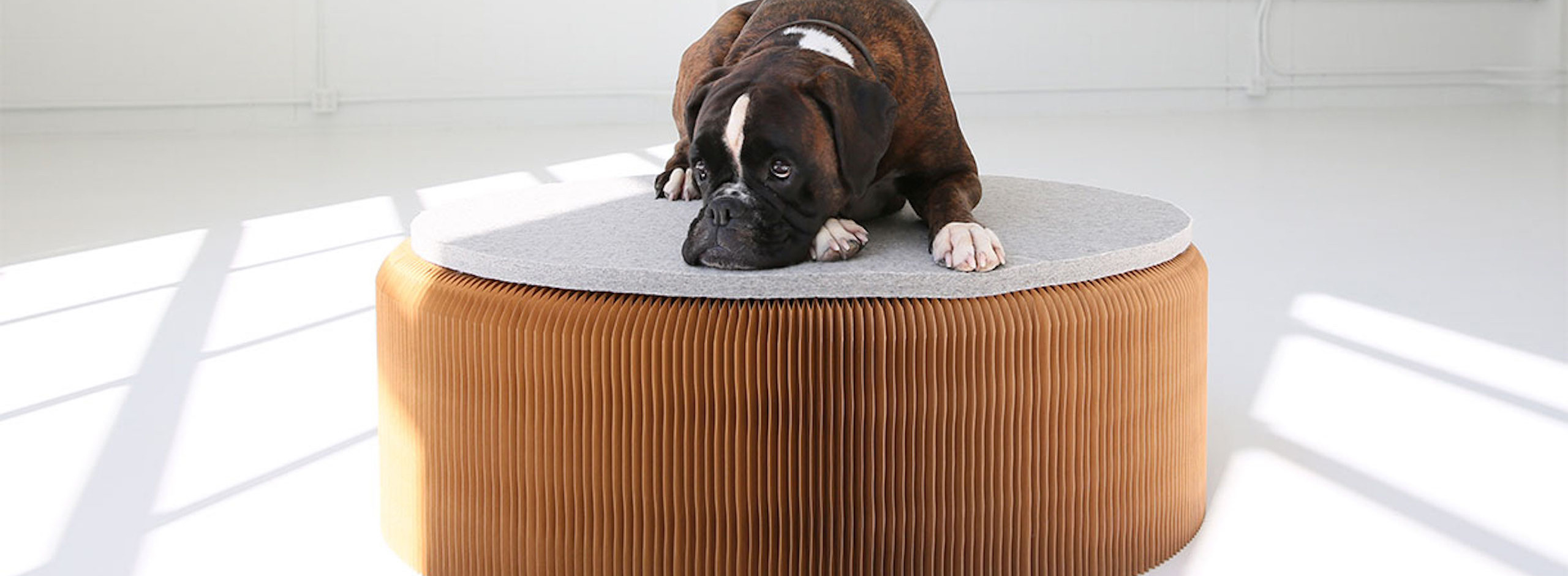 flexible seating portable travel seat