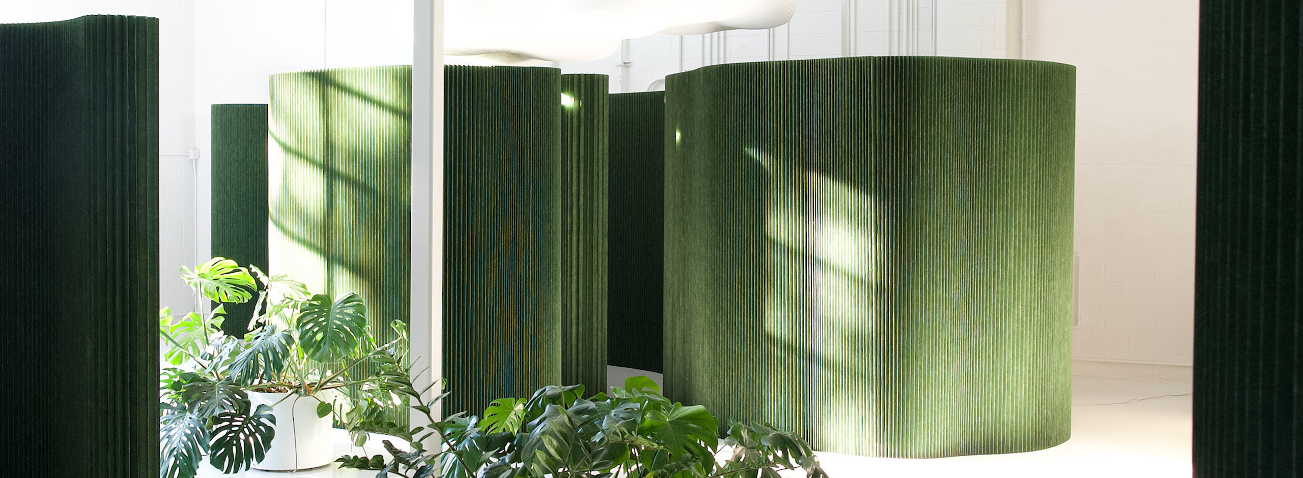 eco friendly room dividers