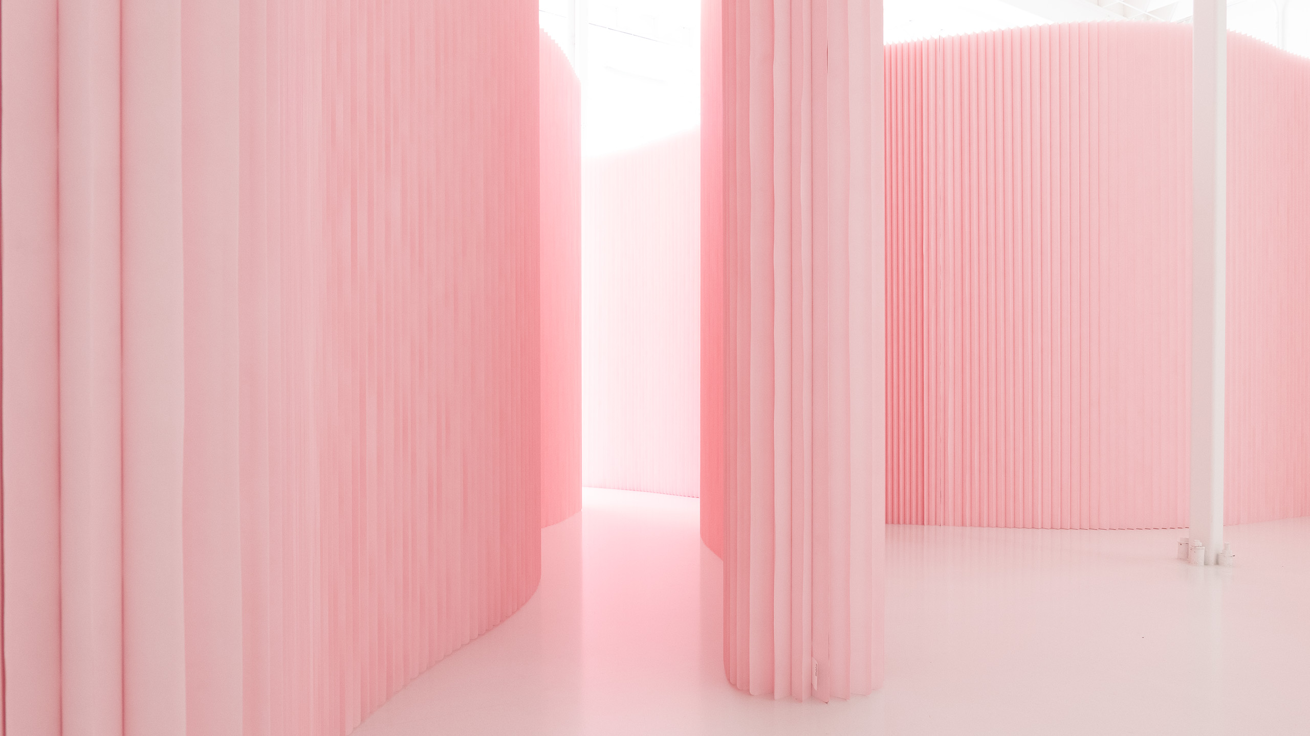 softwall, folding partition,pink walls, Pantone 12-1305 pink in architecture, custom colour walls, molo