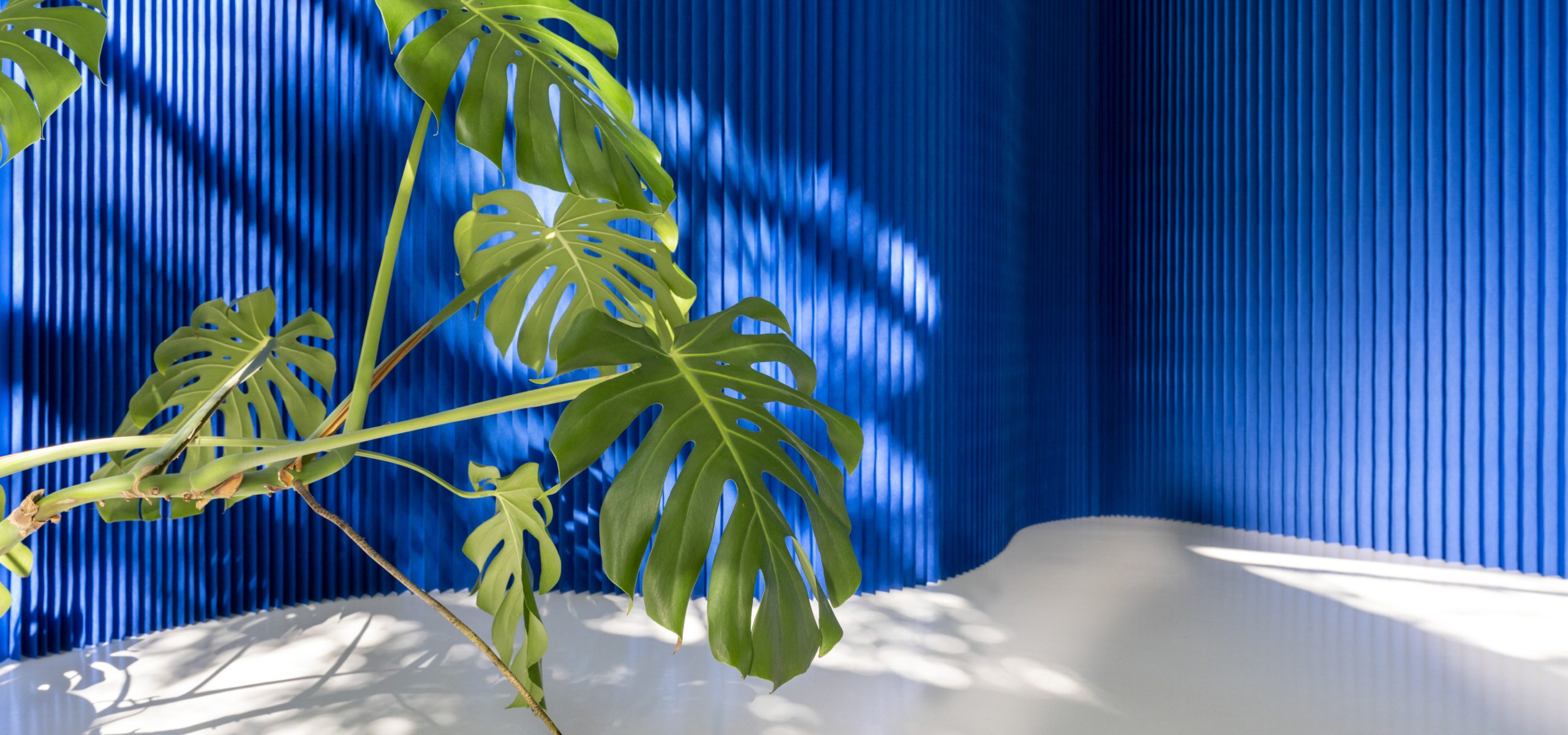 08_softwall-blue-paper-molo-Stephanie-Forsythe-Todd-MacAllen_18-scaled_2560x1200